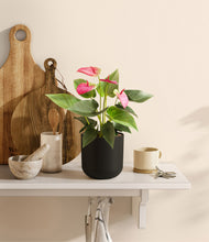 Load image into Gallery viewer, Stone Black