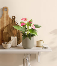 Load image into Gallery viewer, Sage Green