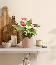 Load image into Gallery viewer, Sandy Pink