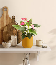 Load image into Gallery viewer, Sunset Orange