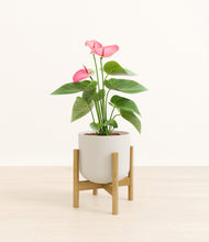 Load image into Gallery viewer, Natural Bamboo stand:bamboo
