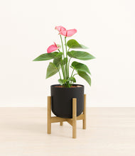 Load image into Gallery viewer, Stone Black stand:bamboo