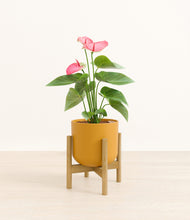 Load image into Gallery viewer, Sunset Orange stand:bamboo