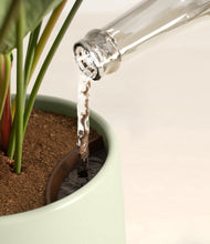 Load image into Gallery viewer, Turquoise stand:all