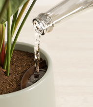 Load image into Gallery viewer, Turquoise stand:all