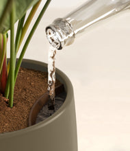 Load image into Gallery viewer, Olive stand:all