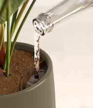 Load image into Gallery viewer, Olive stand:all