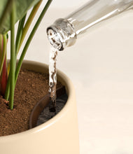 Load image into Gallery viewer, Almond Green stand:all