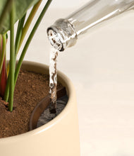 Load image into Gallery viewer, Evening Sky stand:all