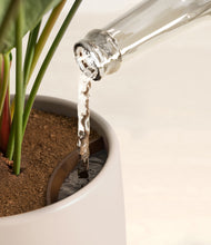 Load image into Gallery viewer, Eternal Gray stand:all