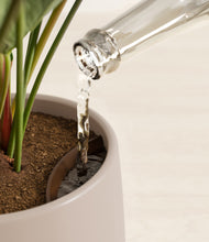 Load image into Gallery viewer, Eternal Gray stand:all