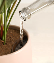 Load image into Gallery viewer, Gentle Pink stand:all