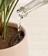 Load image into Gallery viewer, Gentle Pink stand:all