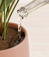 Load image into Gallery viewer, Calm Rose stand:all