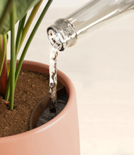 Load image into Gallery viewer, Calm Rose stand:all