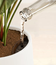 Load image into Gallery viewer, White stand:all