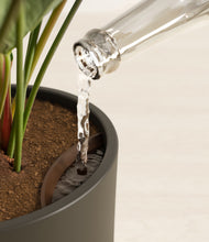 Load image into Gallery viewer, Dark Olive stand:all