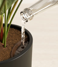 Load image into Gallery viewer, Black stand:all