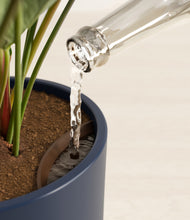 Load image into Gallery viewer, Deep Navy stand:all