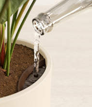 Load image into Gallery viewer, Cream stand:all