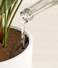 Load image into Gallery viewer, White stand:all