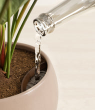 Load image into Gallery viewer, Desert Brown stand:all