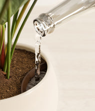 Load image into Gallery viewer, Shiny EggWhite stand:all