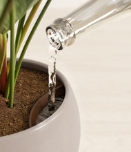 Load image into Gallery viewer, Winter Clouds stand:all