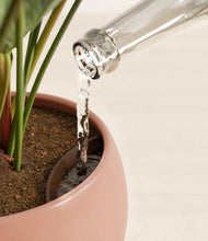 Load image into Gallery viewer, Calm Rose stand:all