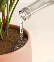 Load image into Gallery viewer, Evening Sky stand:all