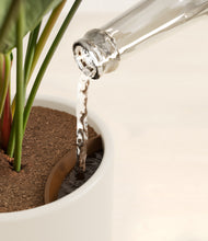 Load image into Gallery viewer, Cotton White stand:all