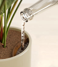 Load image into Gallery viewer, Sage Green stand:all