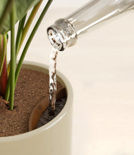 Load image into Gallery viewer, Sage Green stand:all