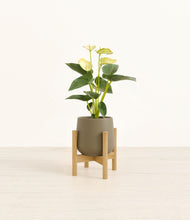 Load image into Gallery viewer, Olive stand:bamboo