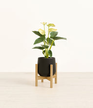 Load image into Gallery viewer, Black stand:bamboo
