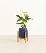 Load image into Gallery viewer, Deep Navy stand:bamboo