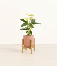 Load image into Gallery viewer, Calm Rose stand:bamboo