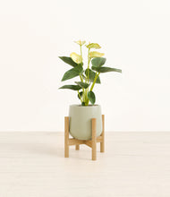 Load image into Gallery viewer, Turquoise stand:bamboo