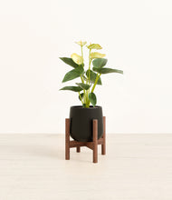 Load image into Gallery viewer, Black stand:walnut