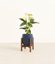 Load image into Gallery viewer, Deep Navy stand:walnut