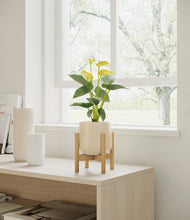 Load image into Gallery viewer, Almond Green stand:bamboo