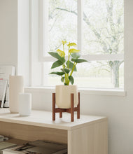 Load image into Gallery viewer, Almond Green stand:walnut