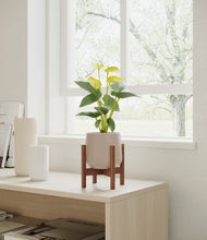 Load image into Gallery viewer, Eternal Gray stand:walnut