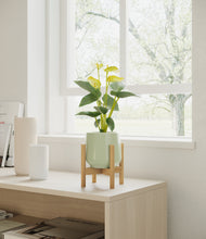 Load image into Gallery viewer, Turquoise stand:bamboo