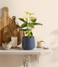 Load image into Gallery viewer, Deep Navy