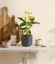 Load image into Gallery viewer, Iron Gray