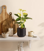 Load image into Gallery viewer, Stone Black