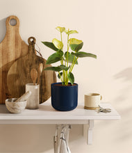 Load image into Gallery viewer, Twilight Blue