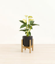 Load image into Gallery viewer, Stone Black stand:bamboo