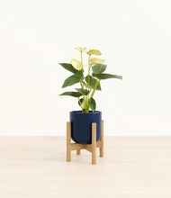 Load image into Gallery viewer, Twilight Blue stand:bamboo